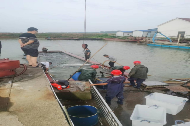 澧縣土地資源,澧縣公共基礎設施,澧縣工商業(yè)信息咨詢,澧縣澧州實業(yè)發(fā)展有限公司 澧縣土地資源,澧縣公共基礎設施,澧縣工商業(yè)信息咨詢,澧縣澧州實業(yè)發(fā)展有限公司