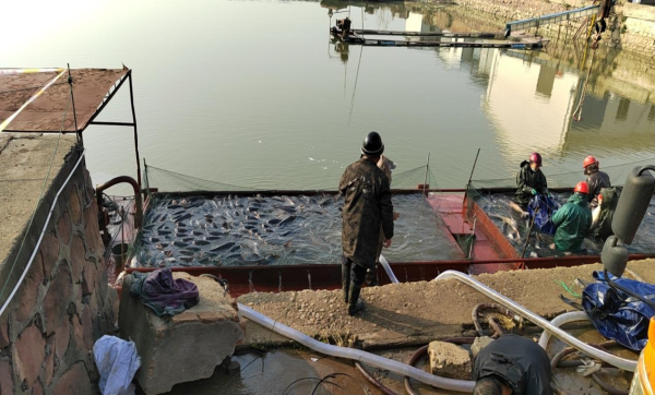 澧縣土地資源,澧縣公共基礎(chǔ)設(shè)施,澧縣工商業(yè)信息咨詢,澧縣澧州實業(yè)發(fā)展有限公司